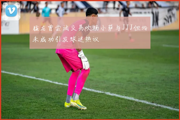 猛龙曾尝试交易吹杨小萨与JJJ但均未成功引发球迷热议